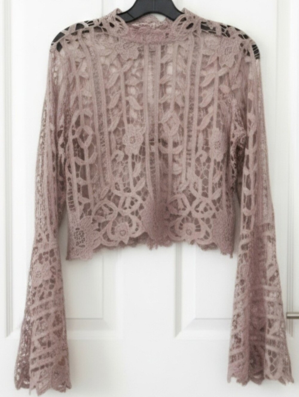 Lace Crochet Long-Sleeve Crop Top - Dusty Rose